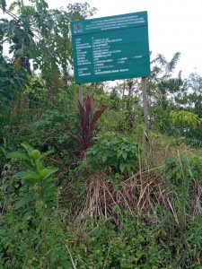 Rehabilitas Hutan Lindung BP DAS Ketahun ajang korupsi