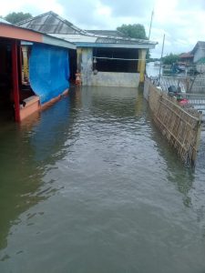 Ratusan Pemukiman Warga Di Kecamatan Muara Gembong Di Terjang Air Rob