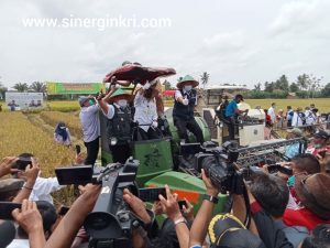Panen raya padi IP-200 dan Tanam IP-300 Bersama Menteri Pertanian Dan Gubernur SumSel