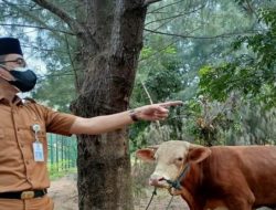 Pemerintah Kabupaten Bekasi mengimbau masyarakat yang akan melaksanakan ibadah kurban pada Idul Adha 1442 Hijriah Mengikuti Aturan PPKM Darurat