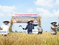 Herman Deru Jadikan Banyuasin sebagai Kekuatan Food Estate Penyangga Ketahanan Pangan Nasional