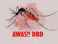 Kasus DBD di Palembang Turun 57 Persen