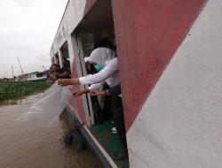 Air Sungai Musi musim pasang, Fitri bersama nelayan lepaskan ribuan Ikan Patin