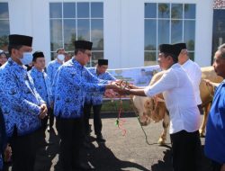 Ketua KORPRI OKU Selatan Serahkan Hewan Qurban Ke Pengurus Masjid Al-Muhttadin