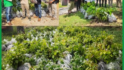 Upaya Memperbaiki Kualitas Lingkungan Atlas Indonesia Giat Program Pemberdayaan Masyarakat