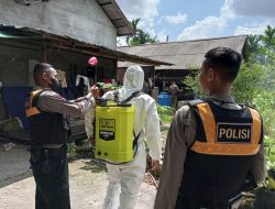 *Demi Mencegah Penyebaran PMK Tim Satgas Aman Nusa II Polda Kalbar Turun Ke Kandang Untuk Melakukan Penyemprotan*