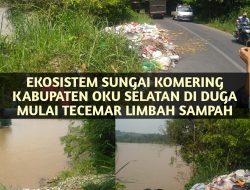 Diduga Akibat Kurang Efisien Dalam Penangan Sampah, Ekosistem Sungai Komering Terancam