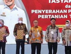 Sumsel Masuk 5 Besar Provinsi di Indonesia dengan Produksi Padi Tertinggi Nasional