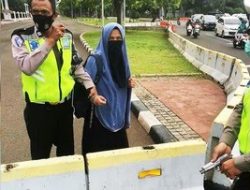 ” Waduh” Seorang Wanita Nekat Membawa Pistol Ingin Masuk Istana Negara