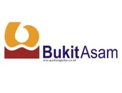K MAKI : Monopoli pengadaan barang jasa diduga sebabkan tingginya beban produksi PT Bukit Asam