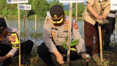 Dibuka Presiden Jokowi, Kapolres Sukabumi Hadiri Puncak Penanaman Mangrove Nasional