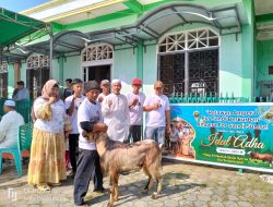 Relawan Ampera For Sandi Laksanakan Pemotongan Hewan Kurban Serentak Seluruh Indonesia