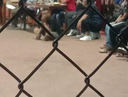 Masyarakat Kabupaten Bekasi Berharap Pihak Kejari Segera Usut Tuntas RS Dan SL Terduga Kasus Gratifikasi.