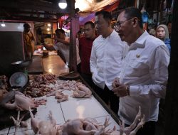 Jelang Nataru, Pj Sekda Sidak Gudang Distributor Sembako dan Pasar Tradisional