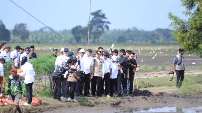 Pj Gubernur Agus Fatoni Bersama Mentan RI Tinjau Kegiatan Upsus Optimalisasi Lahan Rawa Tahun 2024 di Banyuasin