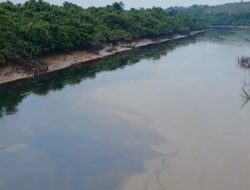 Sumur Minyak Ilegal Milik Kades Sungai Lilin Tumpah Cemari Sungai Parung