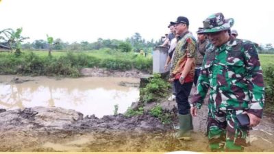 Bupati Enos Didampingi Kepala Dinas Pertanian Tinjau Lokasi Opalah