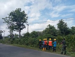Jaga Instalasi Listrik Demi Keselamatan Bersama, PLN Ajak Masyarakat Waspada Aktivitas Berbahaya di Sekitar Aset Kelistrikan