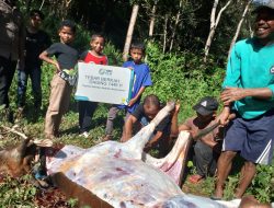 Rayakan Idul Adha 1446H, PLN Salurkan Daging Kurban di Berbagai Daerah