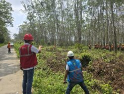 PLN ULP Tugumulyo Memimpin Perang Melawan Gangguan Infrastruktur Listrik