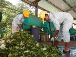 Terapkan Konsep Zero Waste, IMIP Olah 182 Ton Sampah Jadi Kompos dan Pakan Ikan