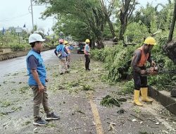 PLN UP3 Lubuklinggau Sambut Hari Kesaktian Pancasila dengan Pembersihan Jalur Listrik di Jalan Lintas Sumatera dan Kota Lubuklinggau
