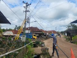 PLN UP3 Ogan Ilir Lakukan Perbaikan Tegangan Drop di Wilayah Tulung Selapan