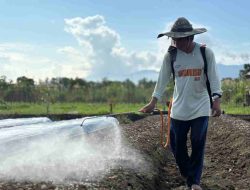 IMIP Dorong Hortikultura Berkelanjutan : Transformasi Lahan dan Ekonomi Lokal