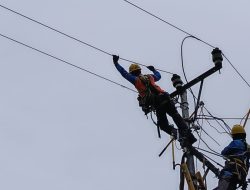 Cegah Listrik Sering Padam, PLN ULP Indralaya Perkuat Jaringan SUTM di Muara Kuang