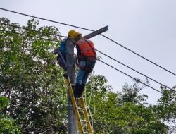 PLN ULP Tugumulyo Sukses Tuntaskan Crash Program Peningkatan Keandalan Jaringan di 5 Desa Kritis