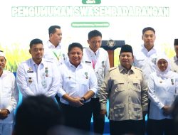 Sumsel Borong Penghargaan Pangan Nasional, Banyuasin dan OKU Timur Diapresiasi Presiden