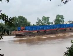 Diduga Belum Kantongi Izin, Tongkang Batubara Melintas di Sungai Musi
