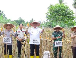 Bupati Abusama Hadiri Panen Raya Jagung Serentak Kuartal I Tahun 2026