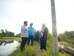 Jalankan Amanat Pemerintah, PLN Kawal Tuntas Pembangunan Infrastruktur Kelistrikan Desa Pedamaran Kabupaten OKI