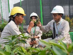 IMIP Fasilitasi Magang Dosen, Kuatkan Kolaborasi Industri–Akademisi