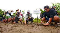 IMIP Tingkatkan Serapan Karbon, Target Reduksi Emisi