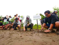 IMIP Tingkatkan Serapan Karbon, Target Reduksi Emisi