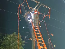 PLN Gerak Cepat Pulihkan Jaringan Terdampak Badai di Lempuing Jaya, Pasokan Listrik Kembali Normal