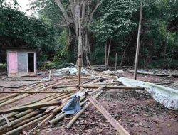 Polisi Tutup Arena Sabung Ayam di Walantaka