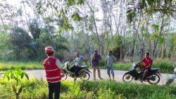 PLN Gerak Cepat Tindaklanjuti Keluhan Warga Desa Nirwana soal Tegangan Listrik Drop