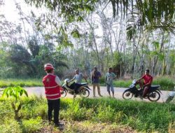 PLN Gerak Cepat Tindaklanjuti Keluhan Warga Desa Nirwana soal Tegangan Listrik Drop