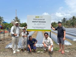 CSR IMIP Perkuat Kemandirian Ekonomi Petani Lokal