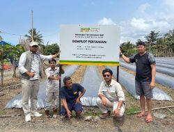 CSR IMIP Perkuat Kemandirian Ekonomi Petani Lokal