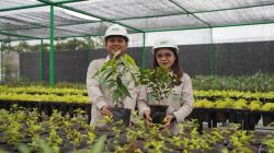 Sambut HLHS 2026, IMIP Jadikan RTH sebagai Kategori Lomba