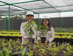 Sambut HLHS 2026, IMIP Jadikan RTH sebagai Kategori Lomba
