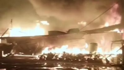 Sijago Merah Ngamuk di CV Batara Jaya Utama, Satu Karyawan Jadi Korban