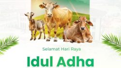 Jelang Idul Adha 1447 H, IMIP Salurkan Puluhan Hewan Kurban