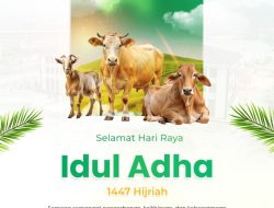 Jelang Idul Adha 1447 H, IMIP Salurkan Puluhan Hewan Kurban