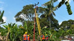 PLN Percepat Pemulihan Listrik Usai Tiang Jaringan Tertabrak Truk di OKU Timur