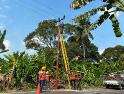PLN Percepat Pemulihan Listrik Usai Tiang Jaringan Tertabrak Truk di OKU Timur